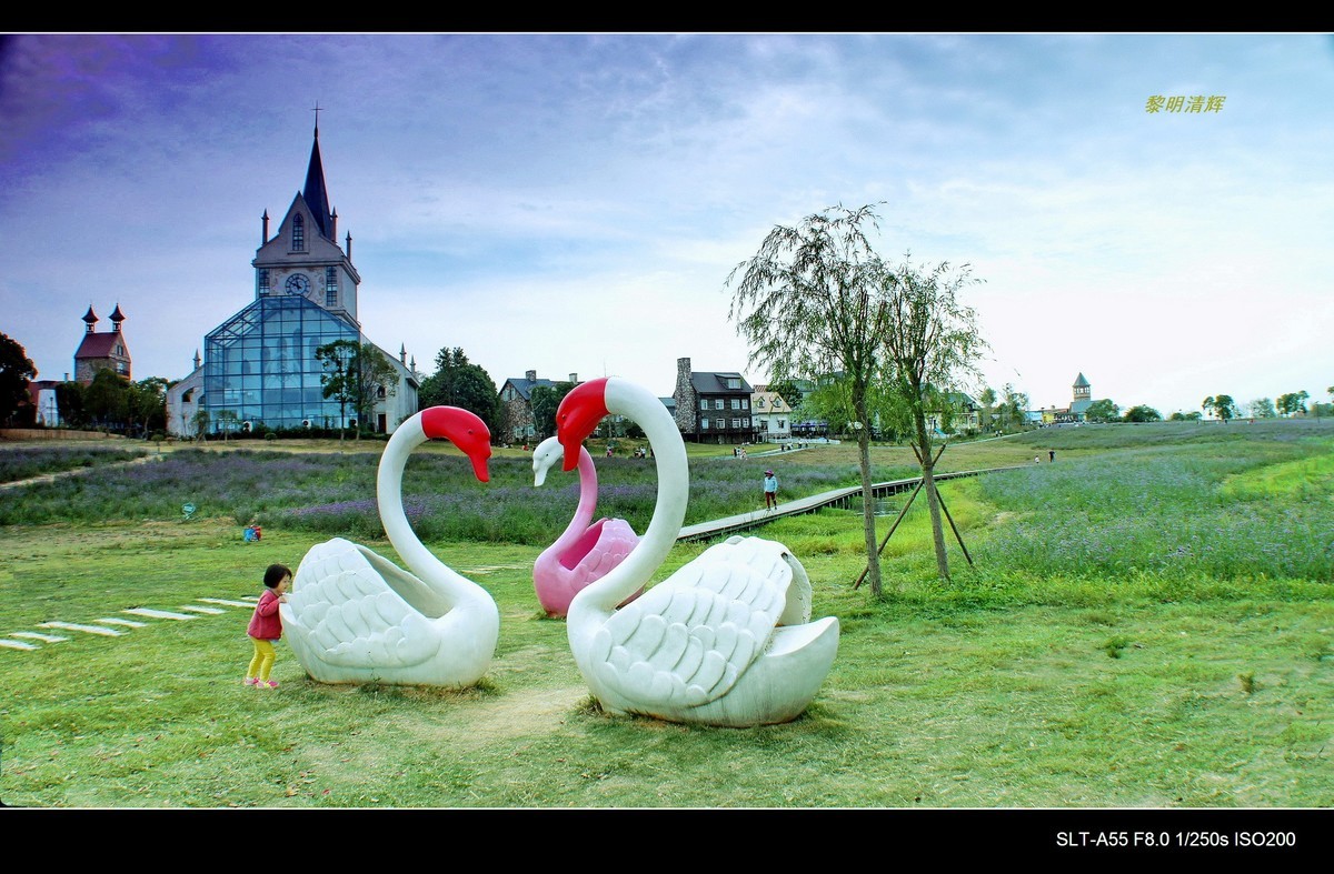 花博汇—秋的回忆（2）