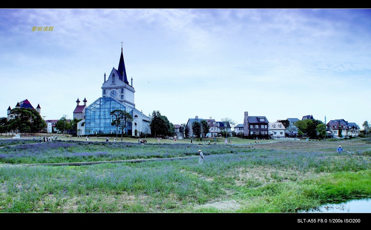 花博汇—秋的回忆（2）