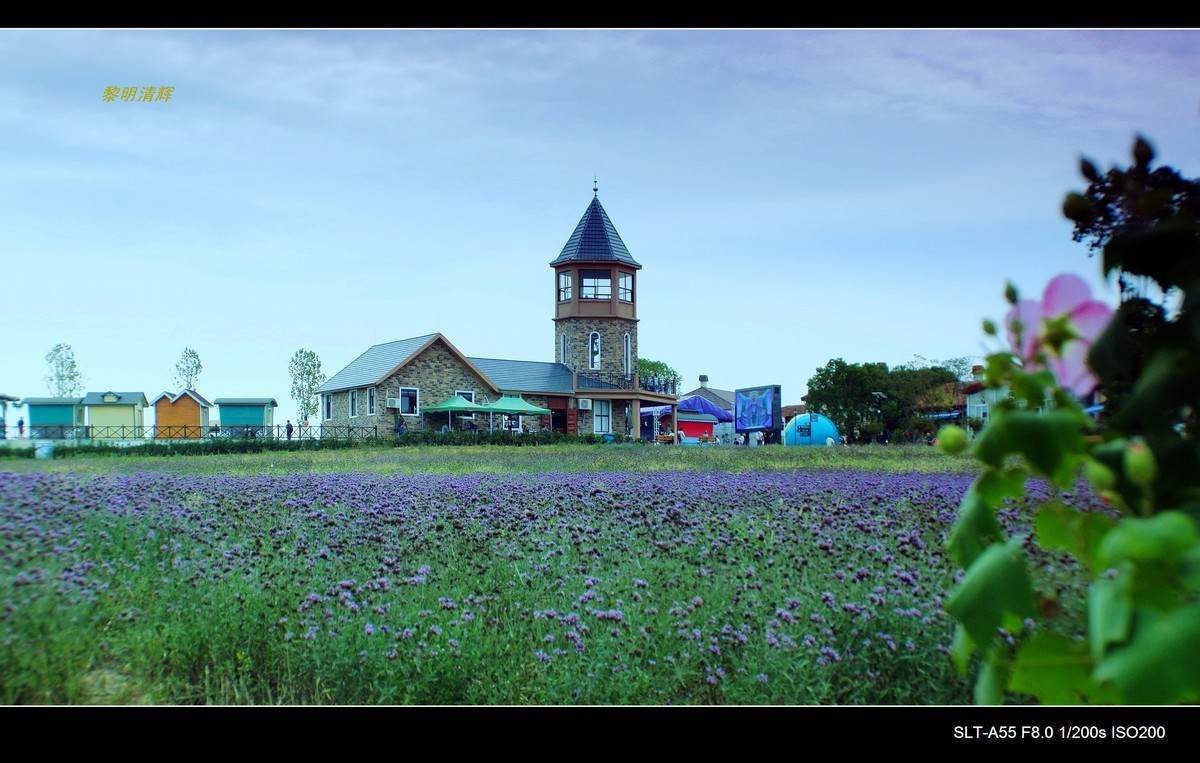 花博汇—秋的回忆（2）