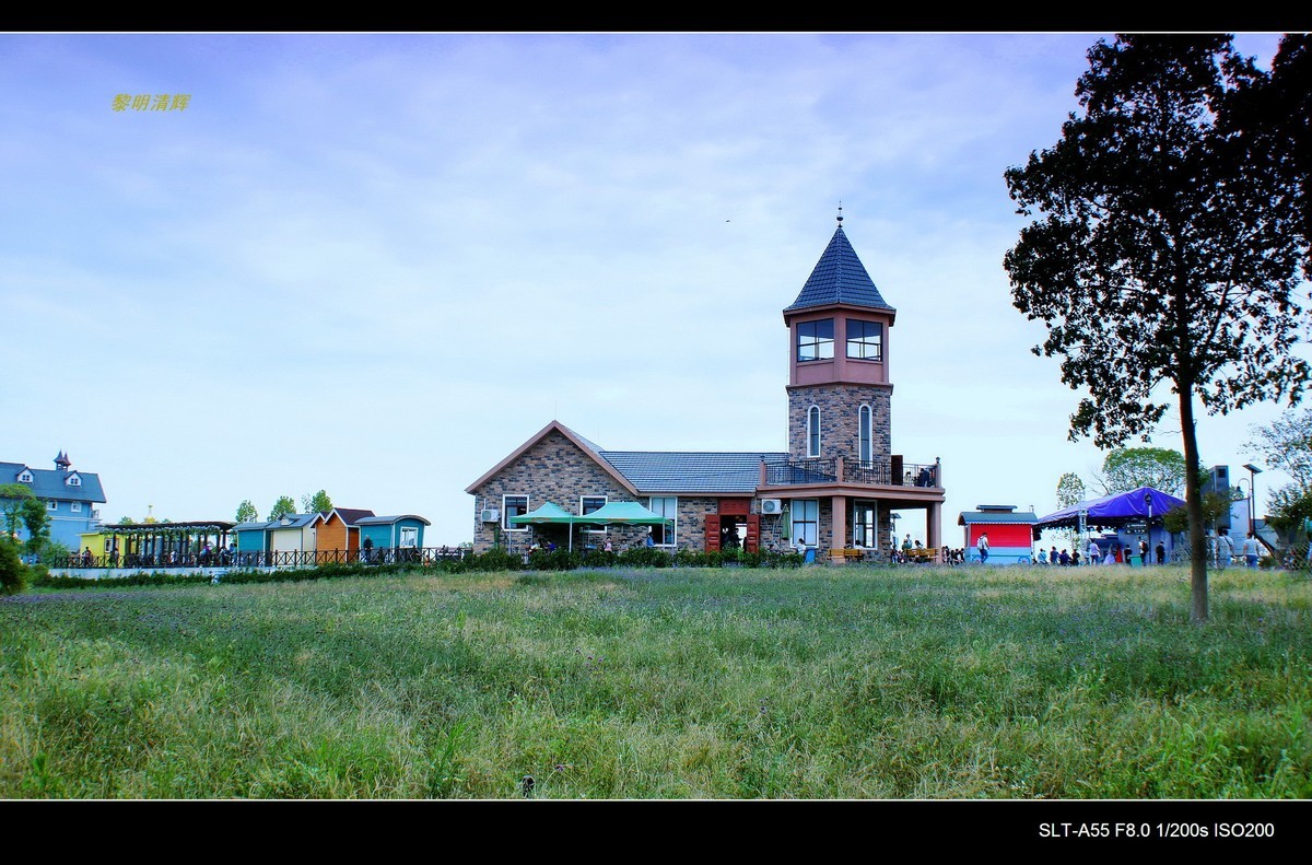 花博汇—秋的回忆（2）