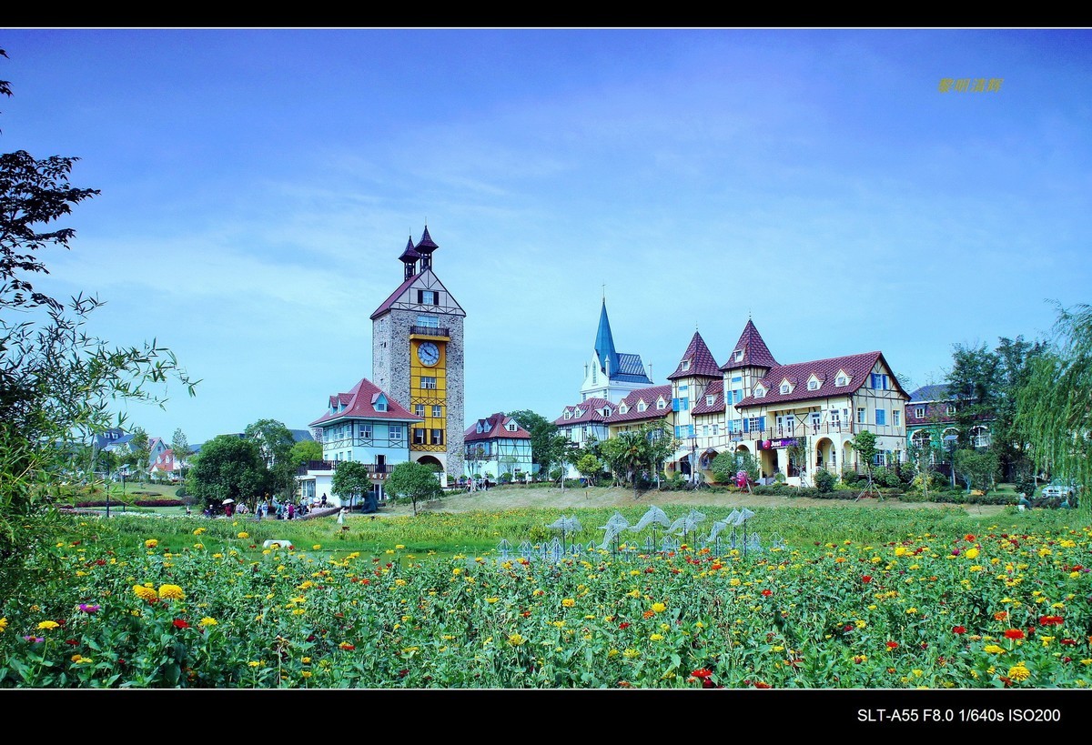 花博汇—秋的回忆（2）