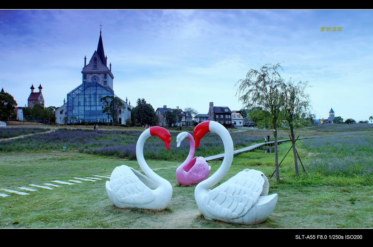 花博汇—秋的回忆（2）