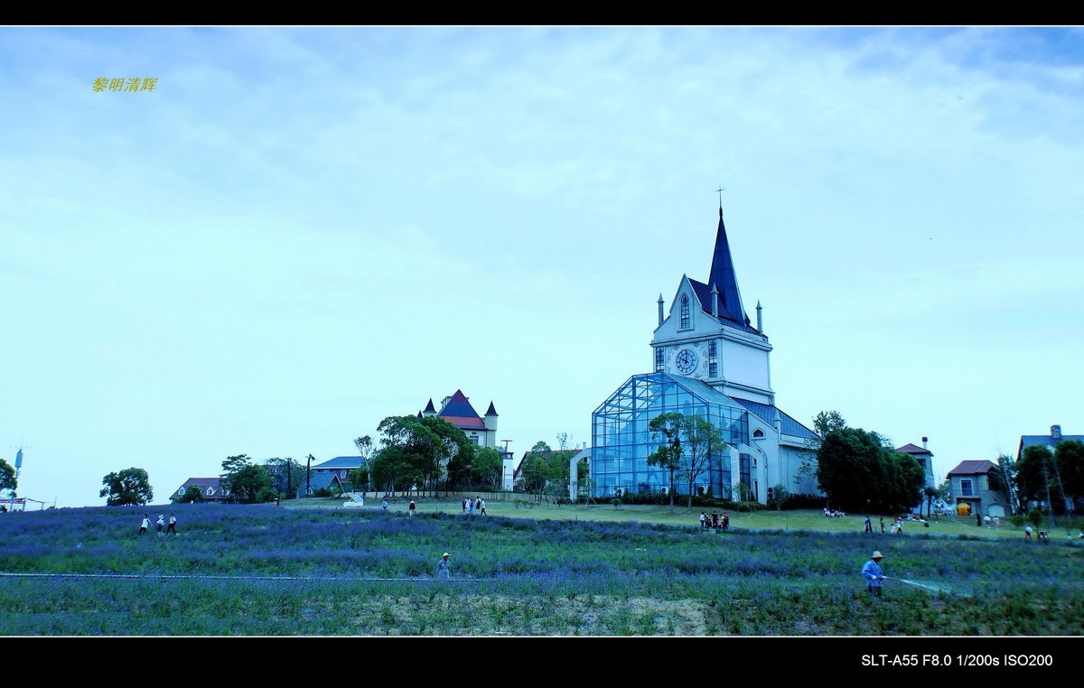 花博汇—秋的回忆（2）