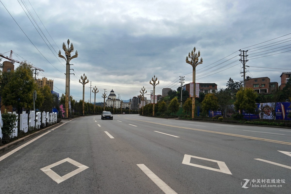 随拍4-散步拍几张