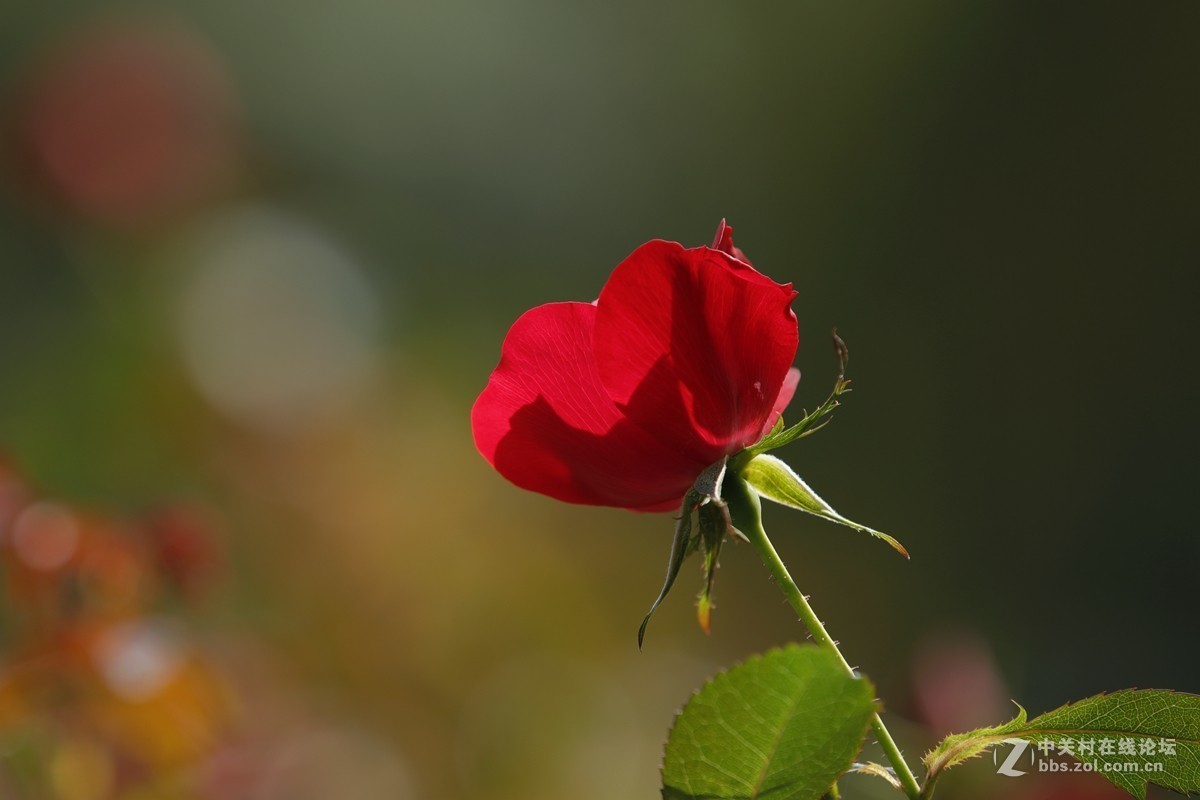 佳能5DMarkII星空(中国)2019年第1季度部分优秀作品汇编