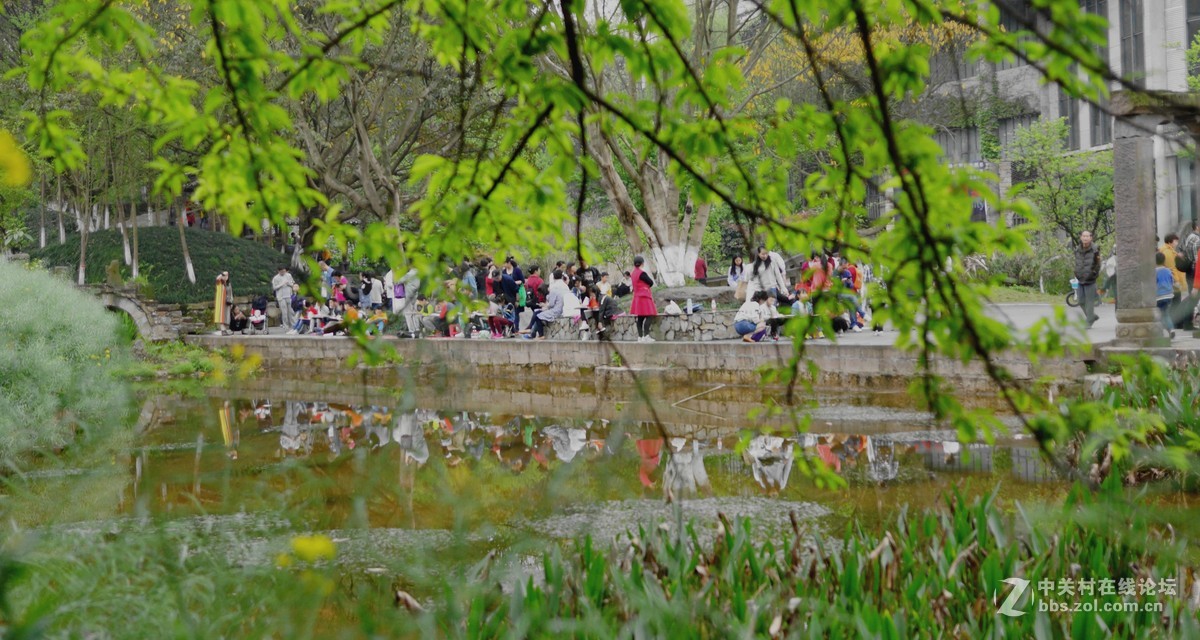 美丽的四川美院校园