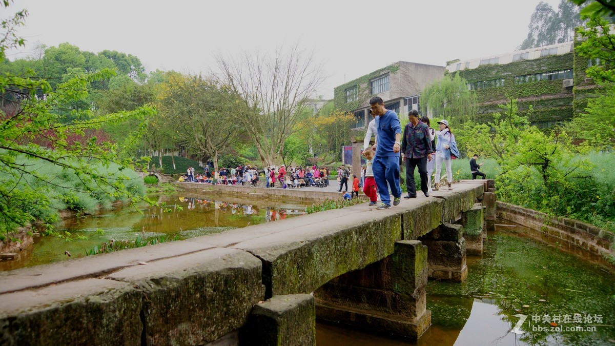 美丽的四川美院校园