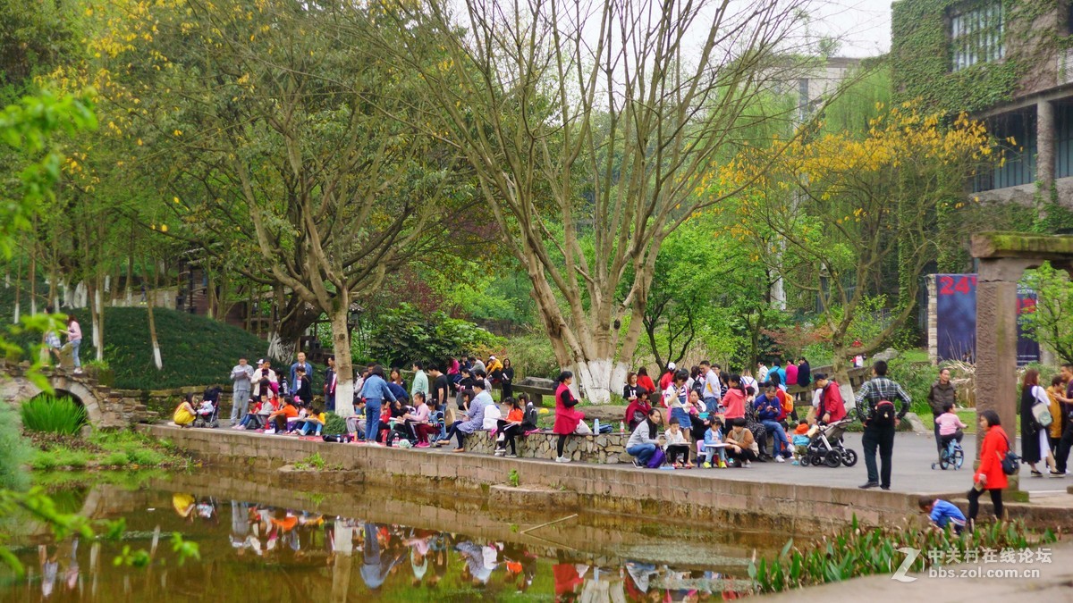 美丽的四川美院校园