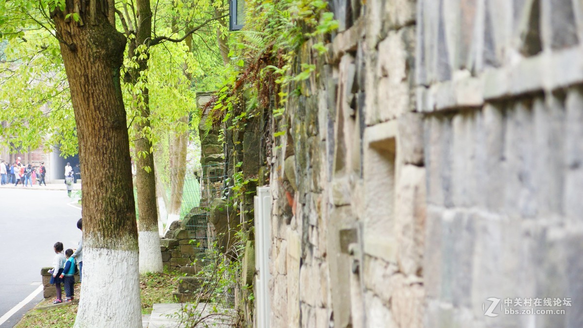 美丽的四川美院校园