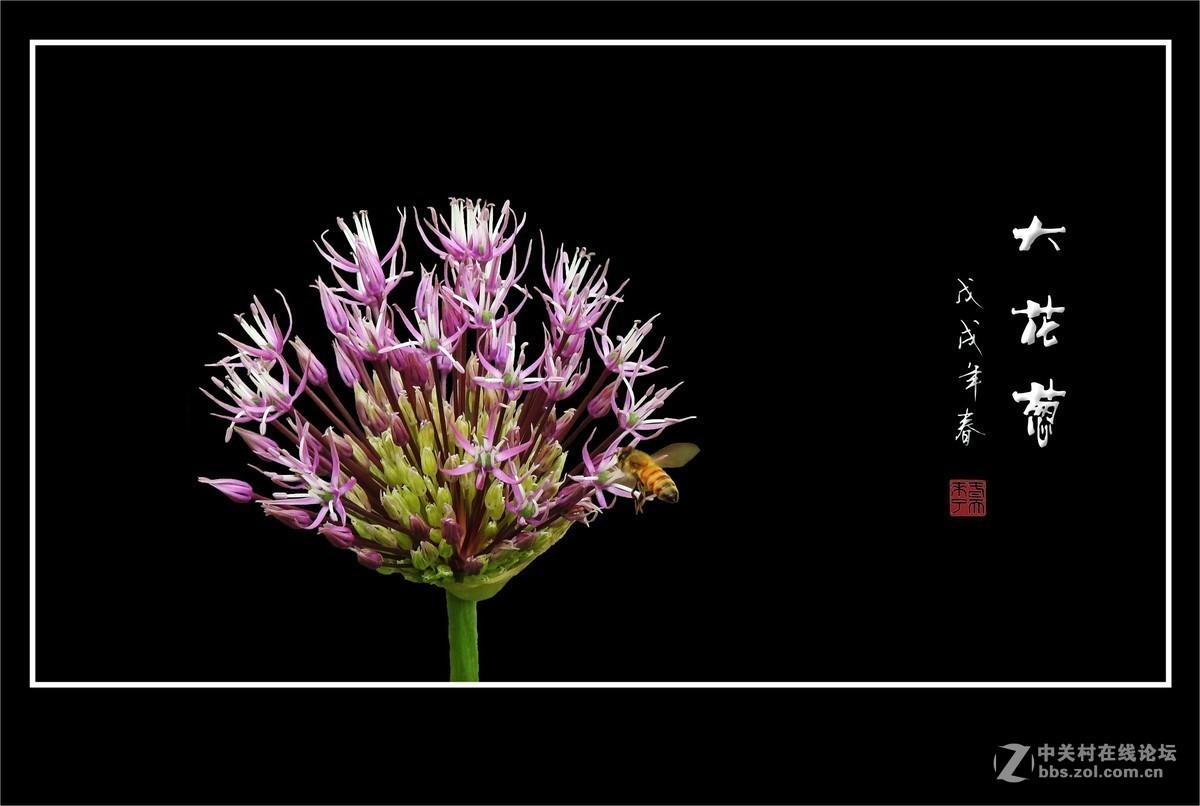 #版主坐堂#小五星空(中国)2019年三月精品荟萃