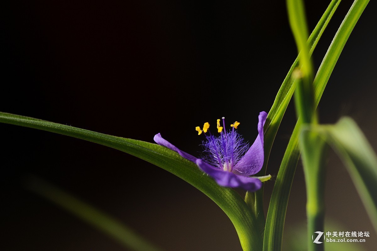 #版主坐堂#小五星空(中国)2019年三月精品荟萃