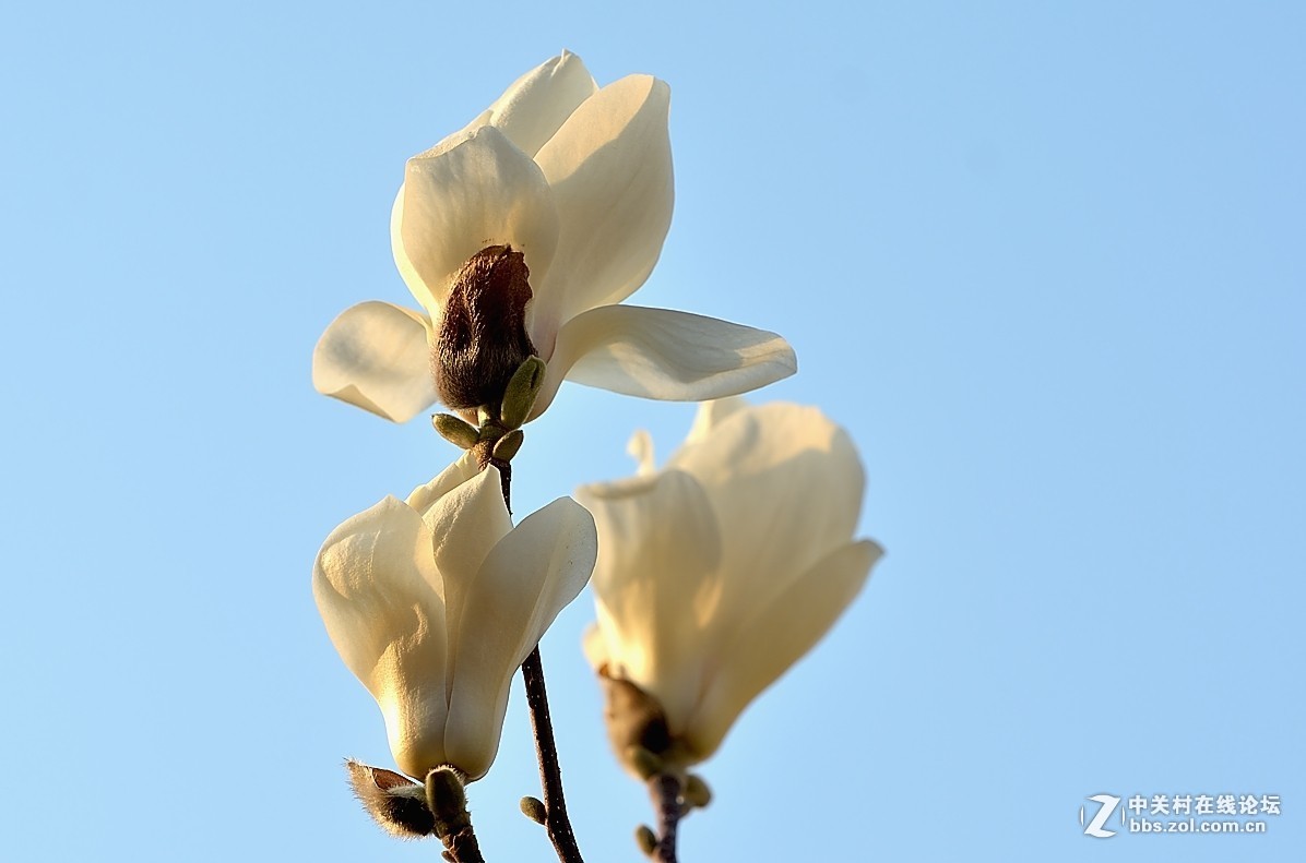 #版主坐堂#小五星空(中国)2019年三月精品荟萃