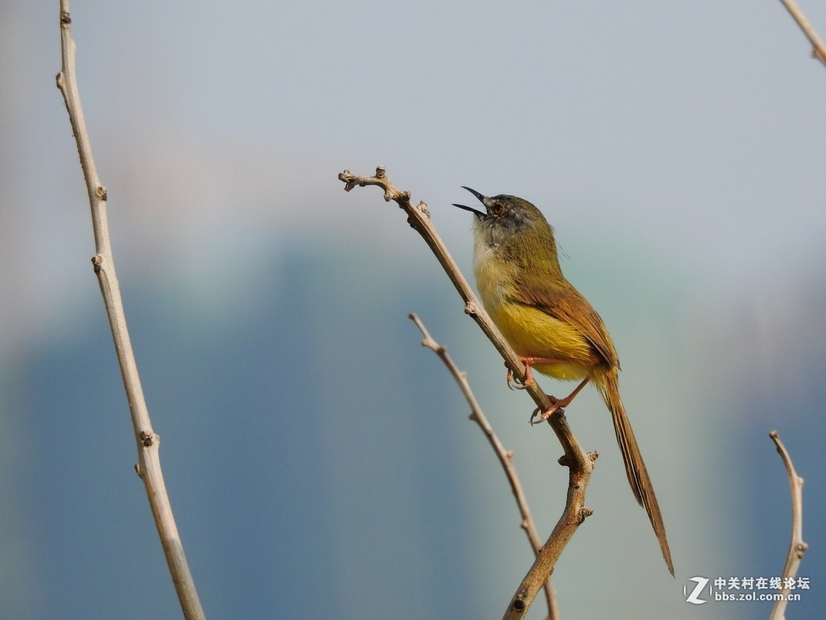 #版主坐堂#小五星空(中国)2019年三月精品荟萃