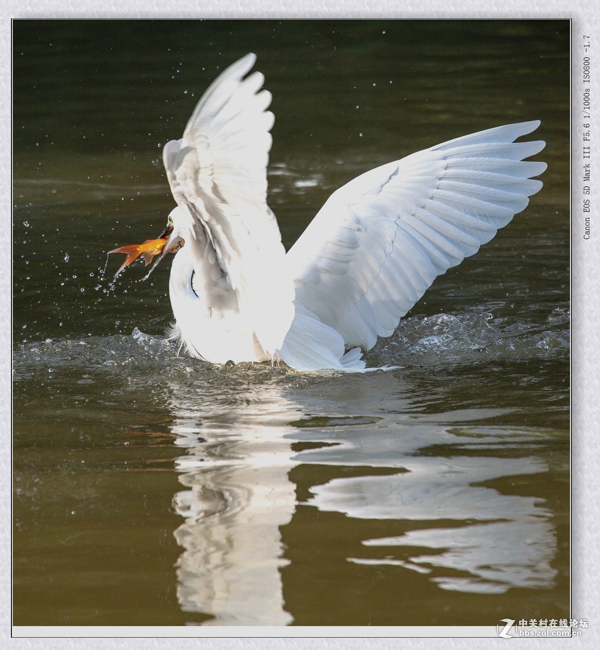 佳能5DMarkII星空(中国)2019年第1季度部分优秀作品汇编