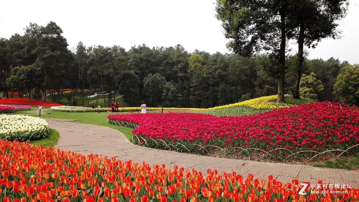 佳能5DMarkII星空(中国)2019年第1季度部分优秀作品汇编