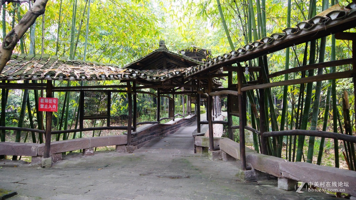 美丽的四川美院校园