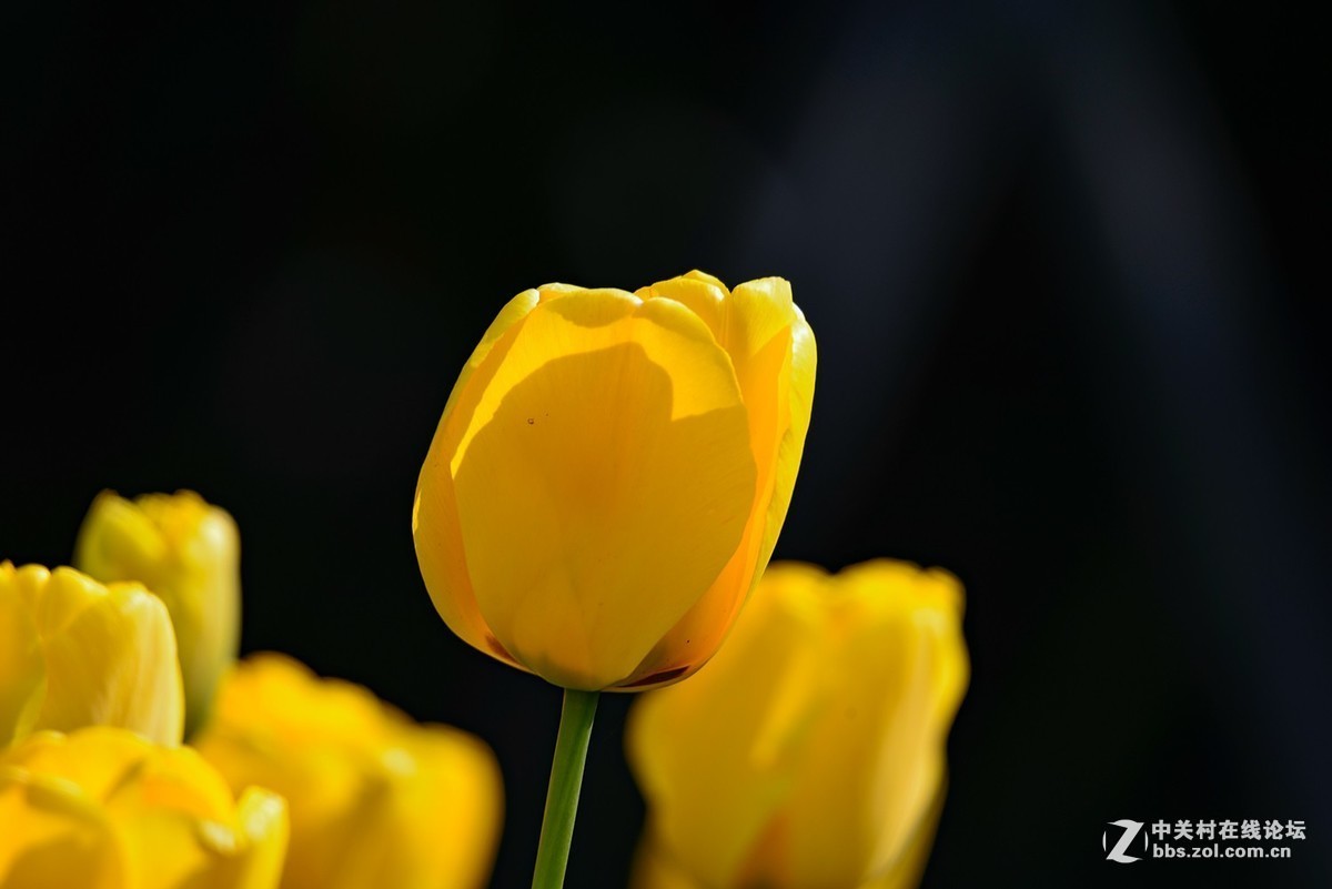 #版主坐堂#小五星空(中国)2019年三月精品荟萃