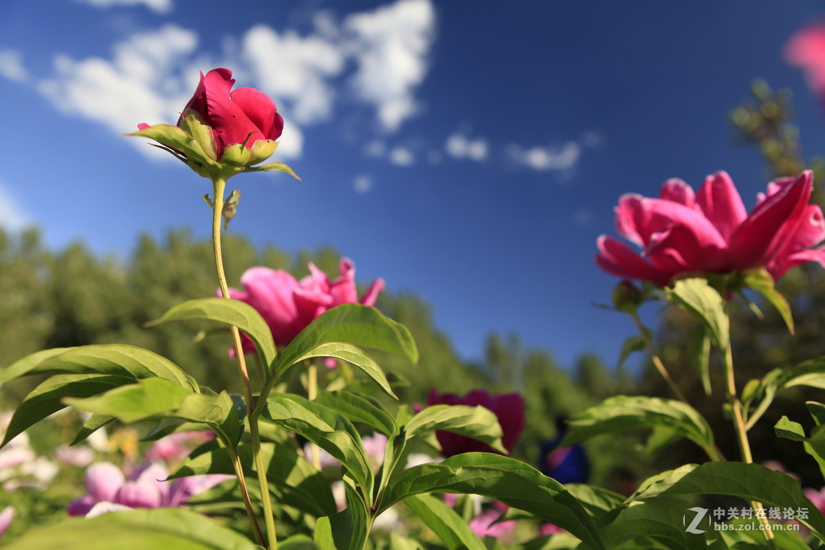 THE greatest nature photographs exhibition of LAO'AN