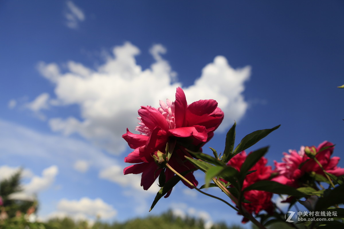 THE greatest nature photographs exhibition of LAO'AN