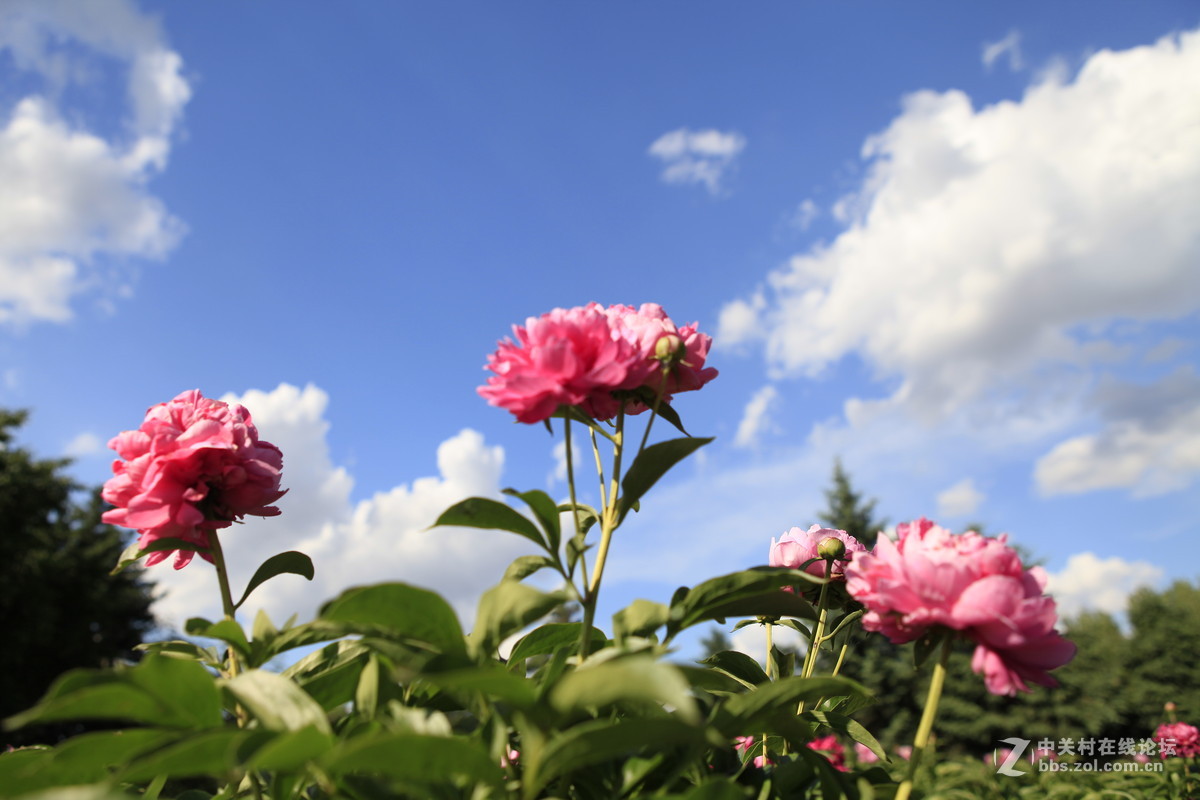 THE greatest nature photographs exhibition of LAO'AN