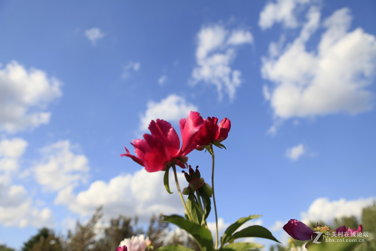 THE greatest nature photographs exhibition of LAO'AN