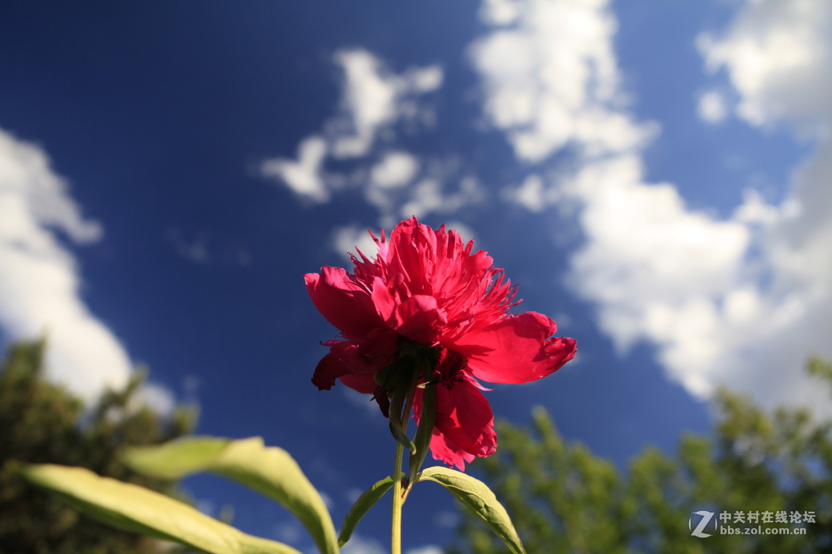THE greatest nature photographs exhibition of LAO'AN