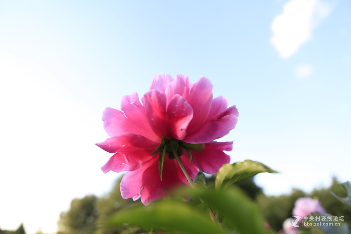 THE greatest nature photographs exhibition of LAO'AN