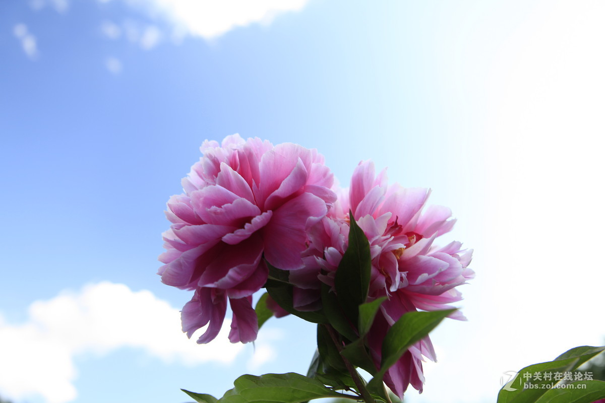 THE greatest nature photographs exhibition of LAO'AN