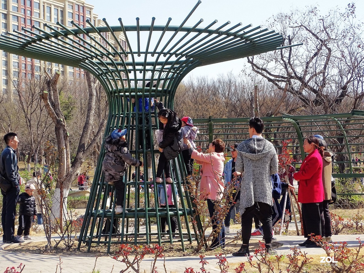 植物园随拍（2019.04-2）