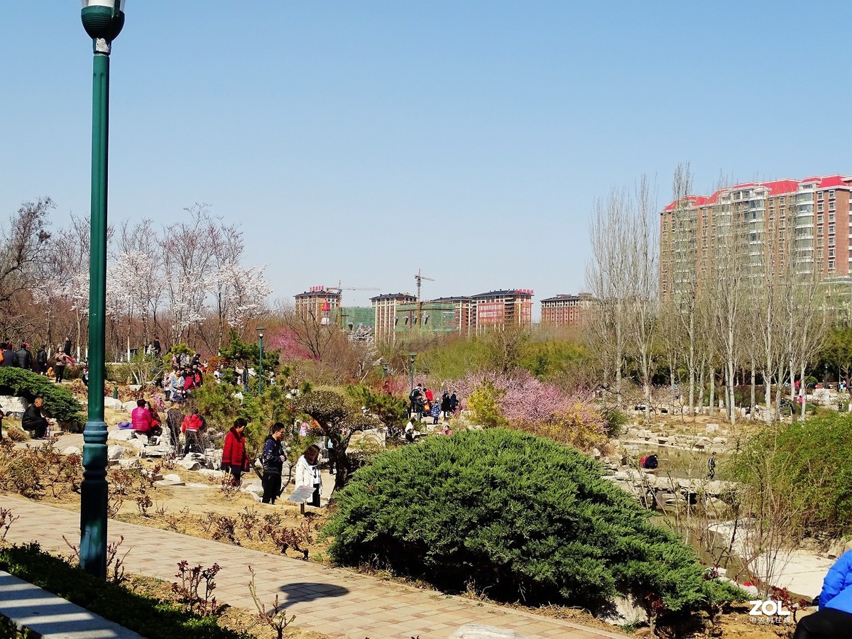 植物园随拍（2019.04-2）