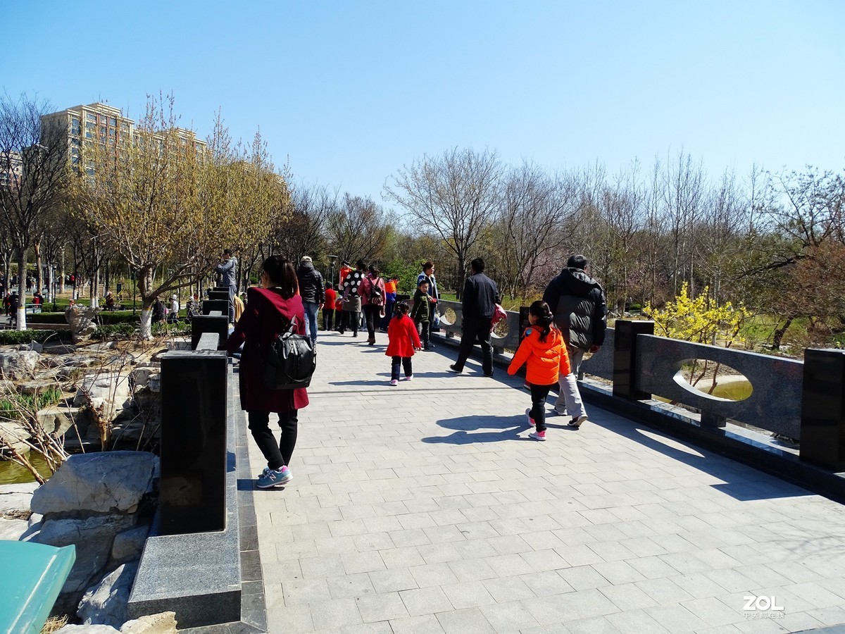 植物园随拍（2019.04-2）