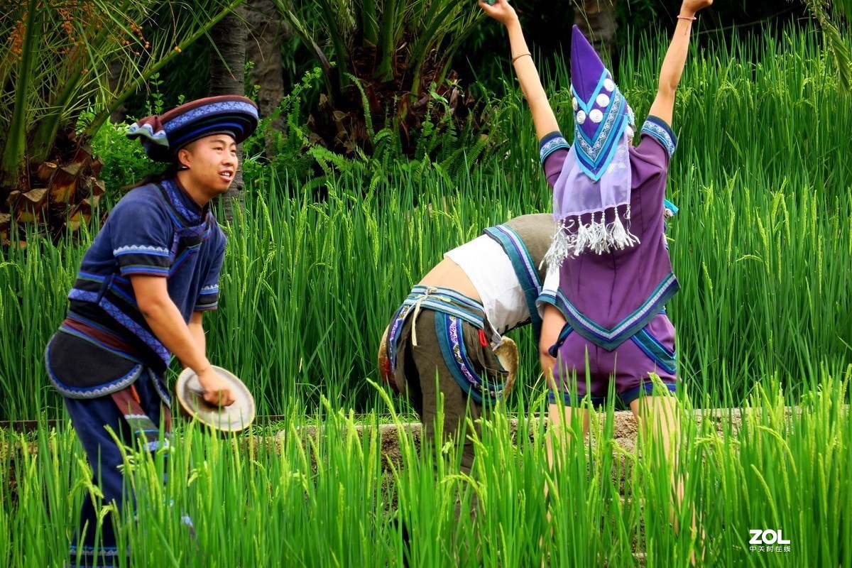 云南民族村里的歌舞表演哈尼族田间歌舞之一