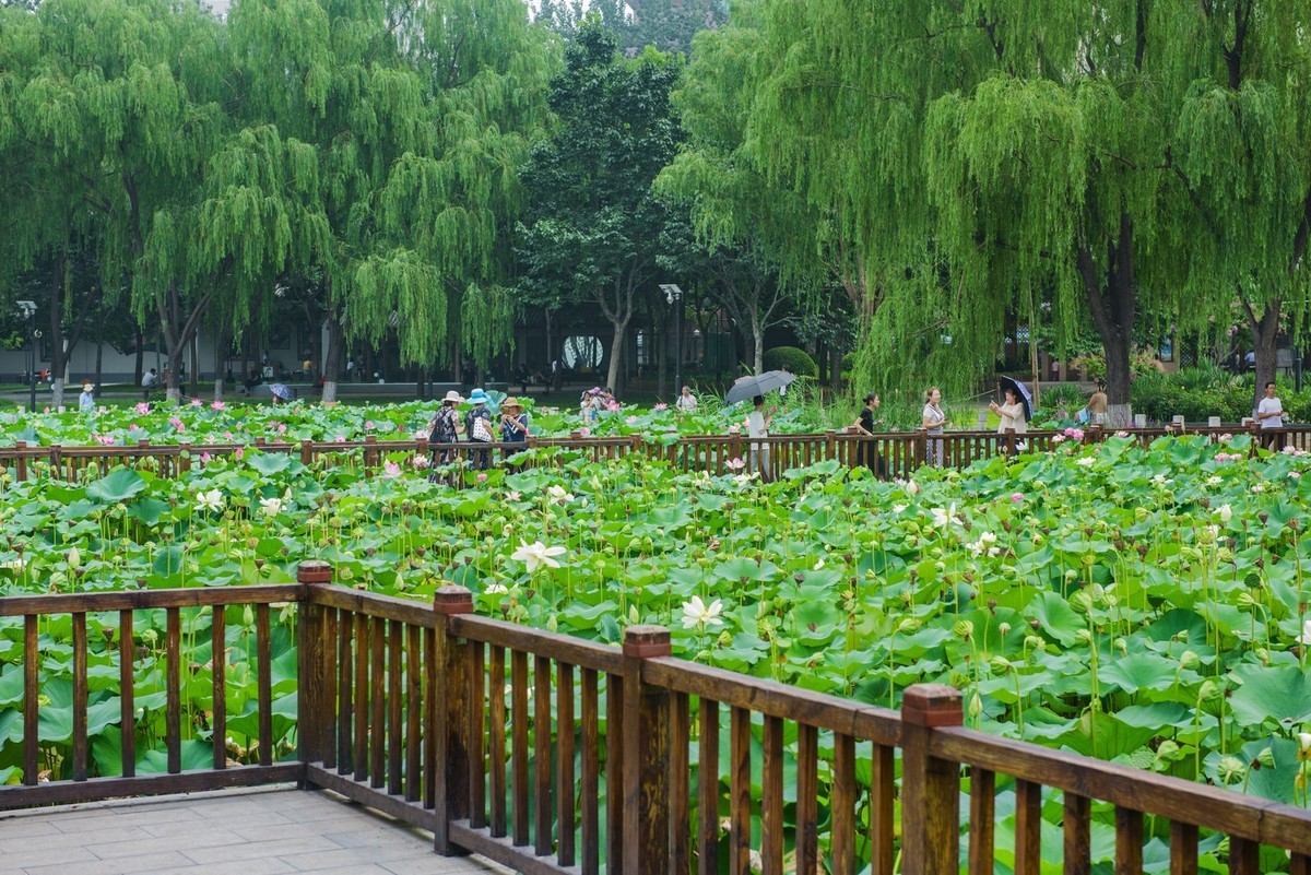 北京莲花池公园1