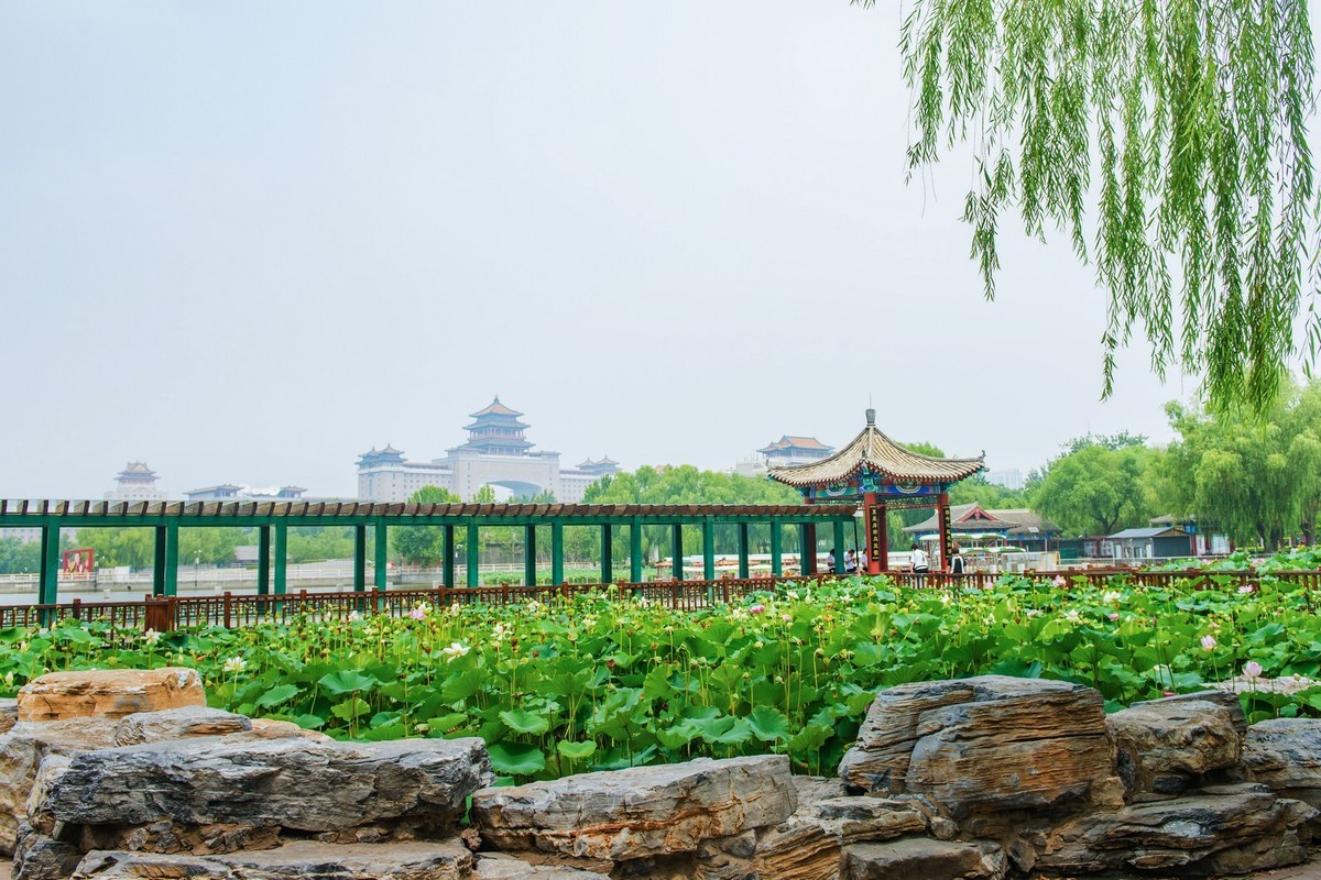 北京蓮花池公園1