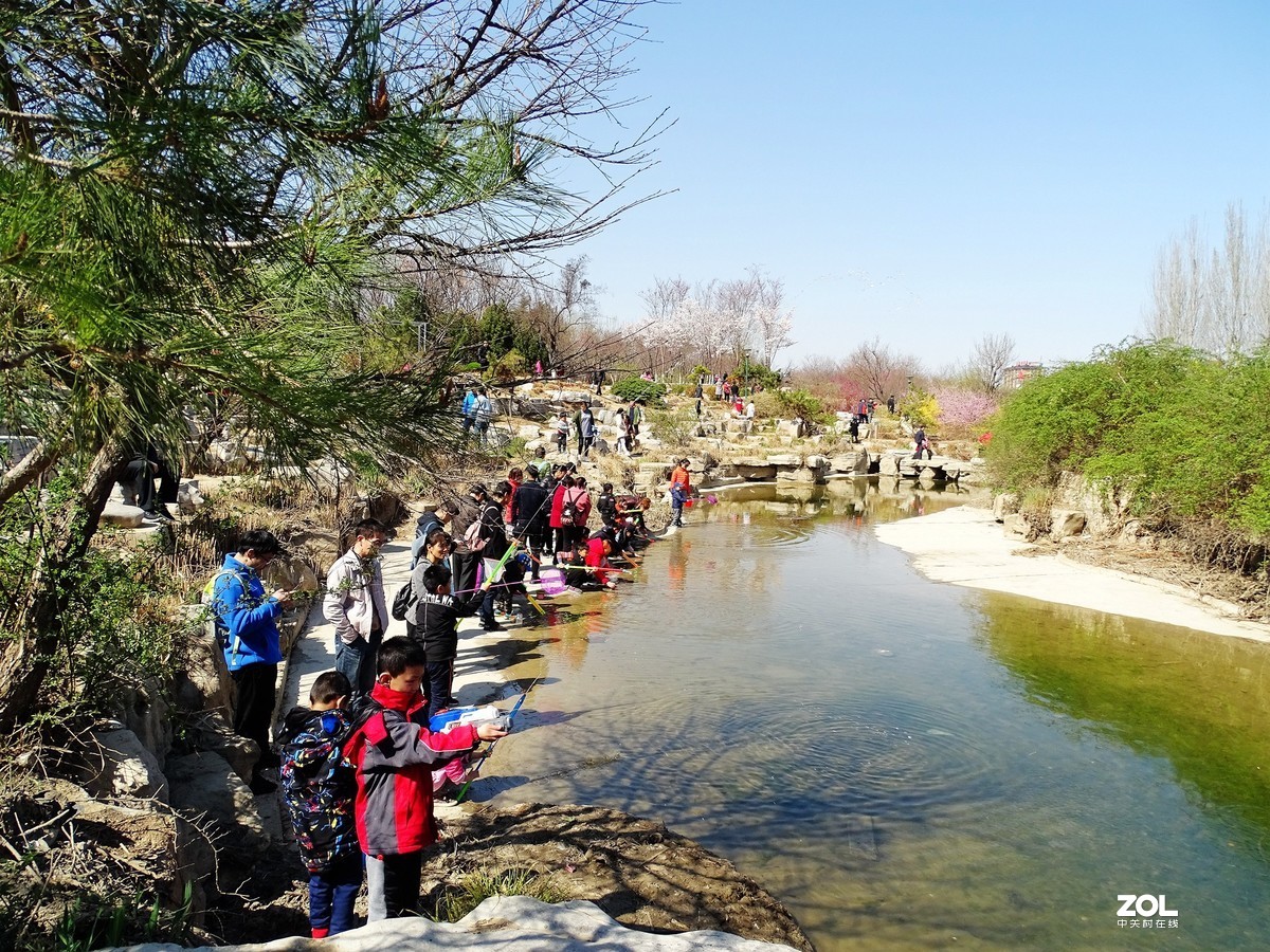 植物园随拍（2019.04-2）