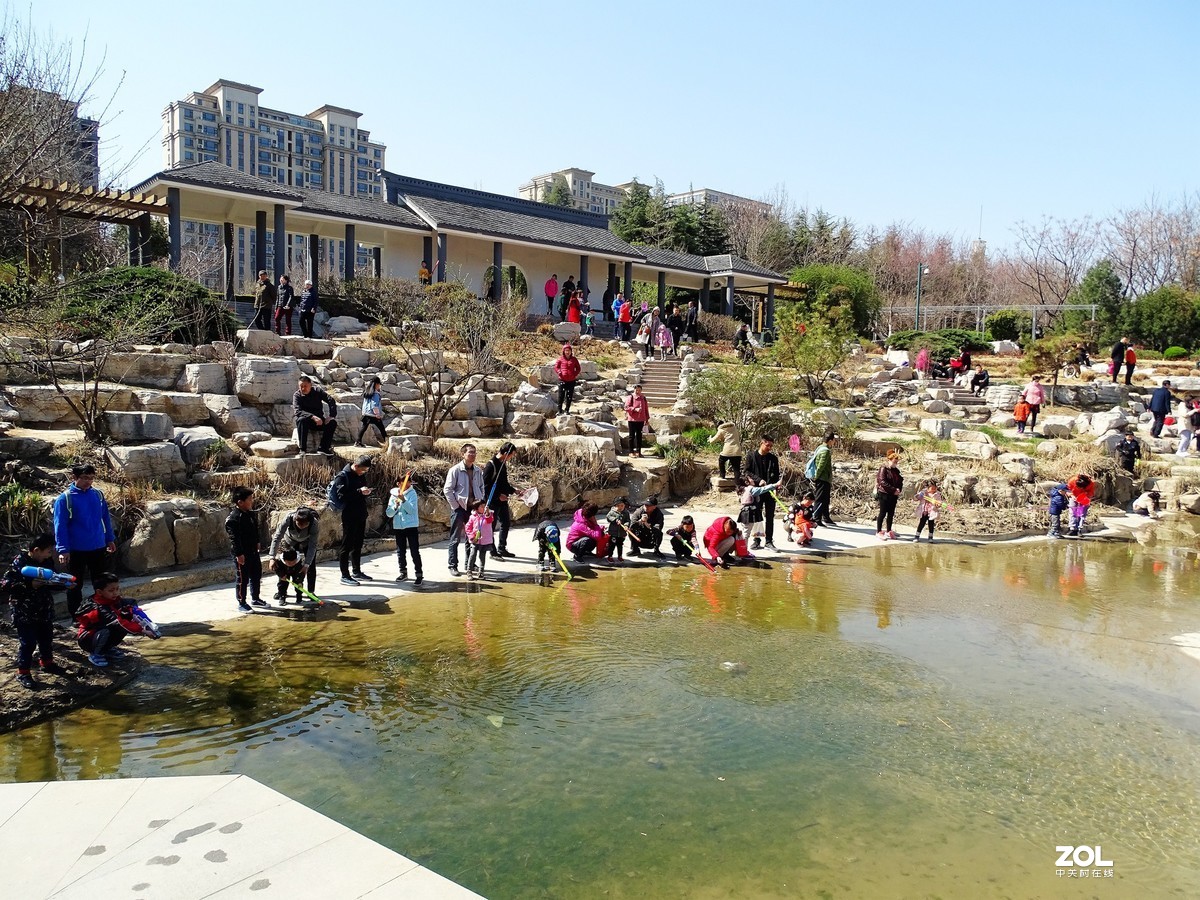 植物园随拍（2019.04-2）