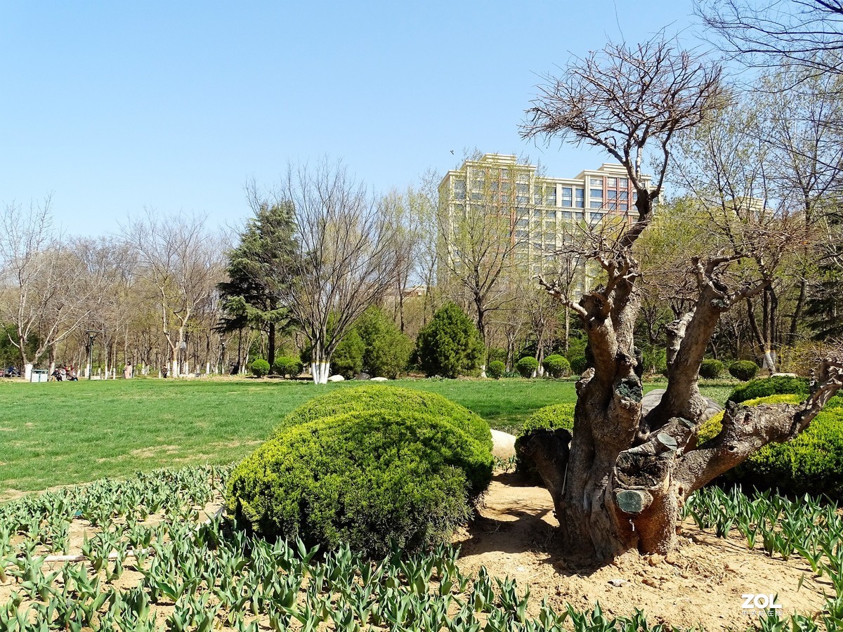 植物园随拍（2019.04-2）