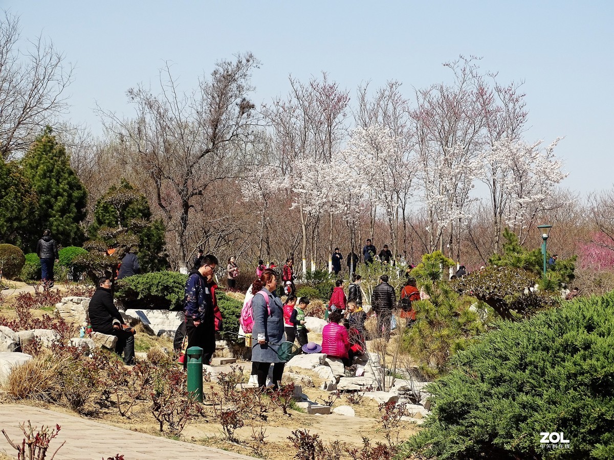 植物园随拍（2019.04-2）