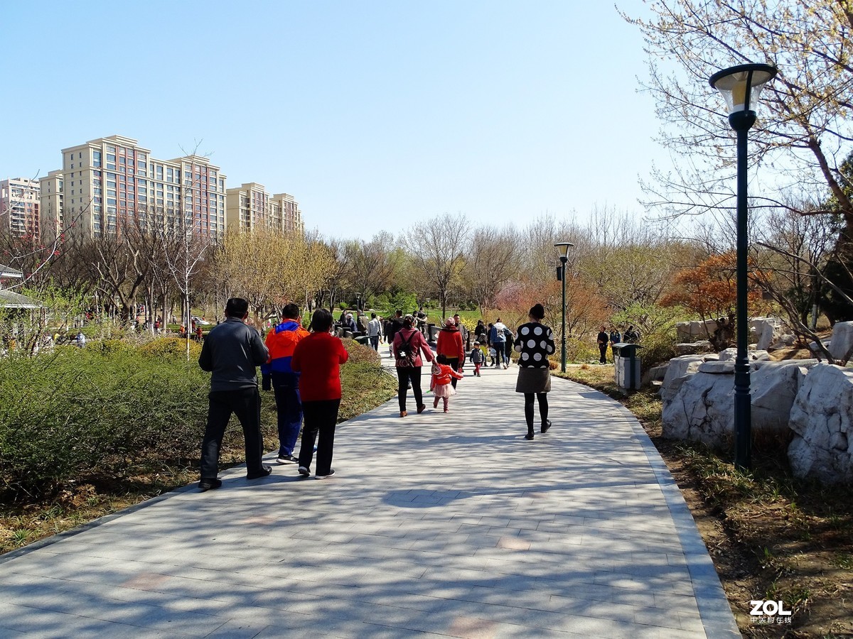 植物园随拍（2019.04-2）