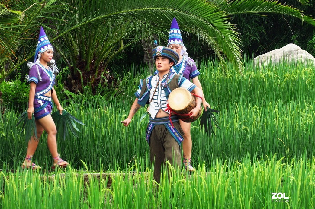 云南民族村里的歌舞表演哈尼族田间歌舞之一