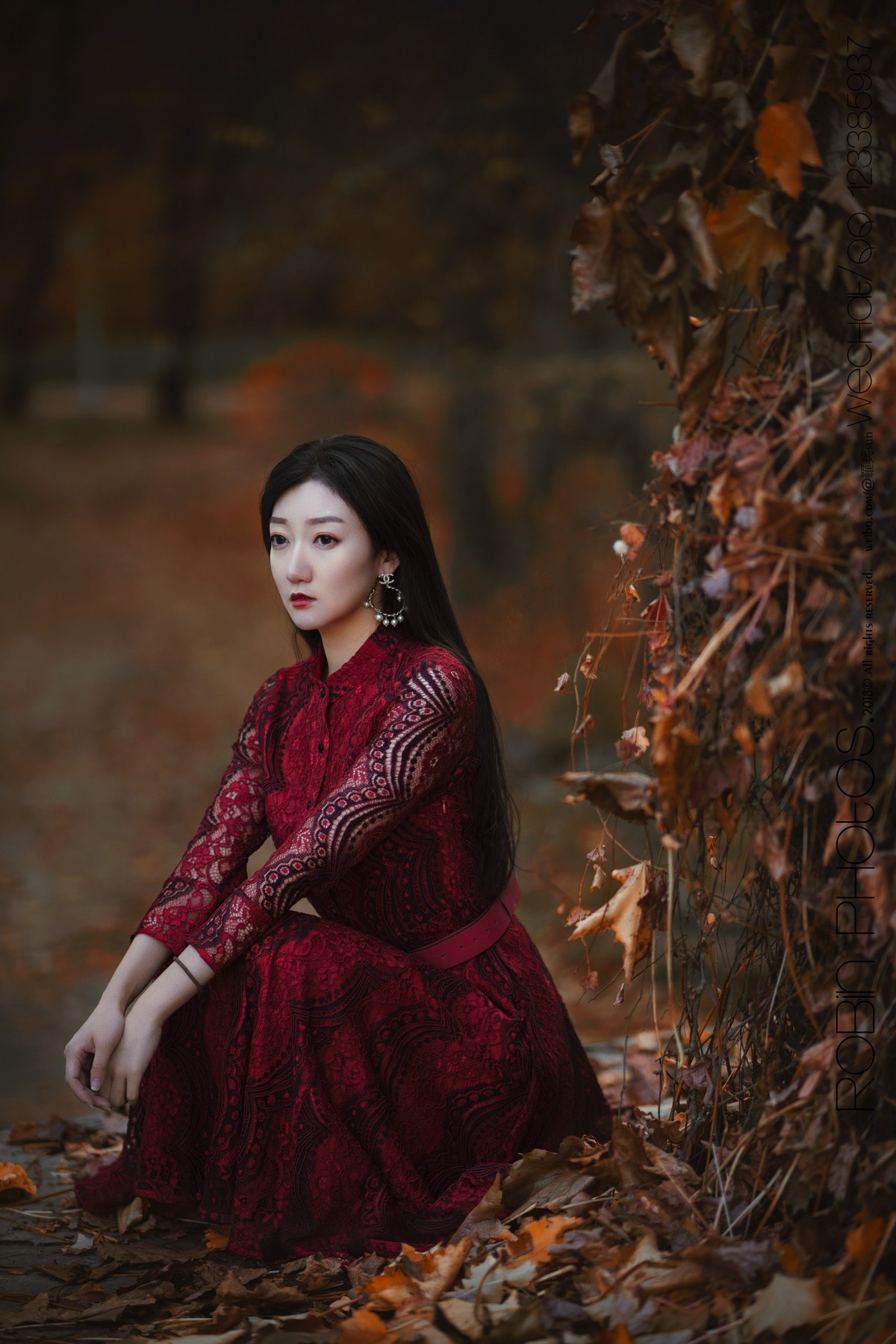 【罗兵】Caelyn
