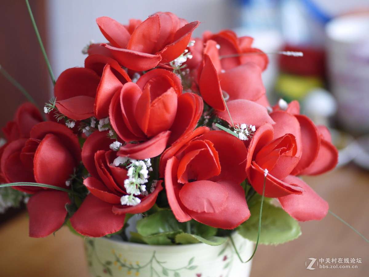 f1.7 35mm定焦镜头试拍