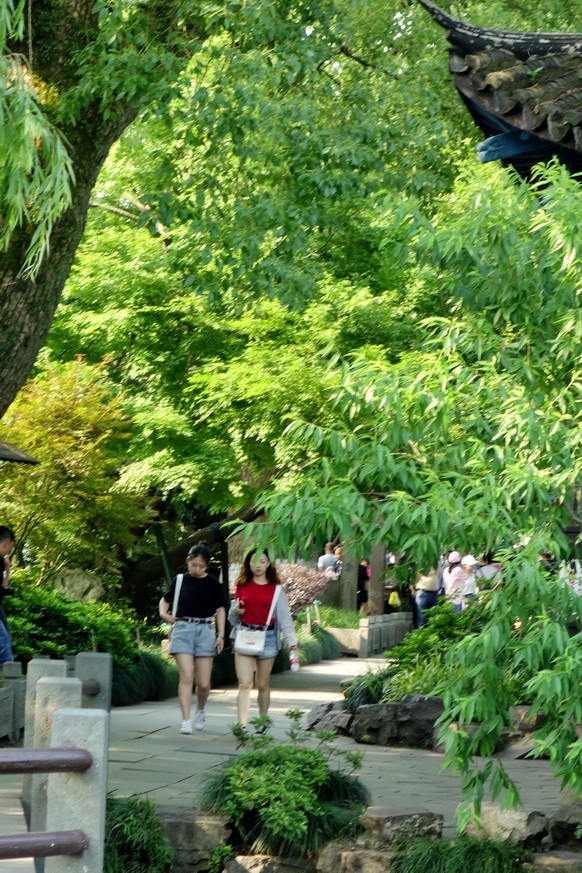 2019-05-29  闲逛的人们找不到三潭印月的船码头