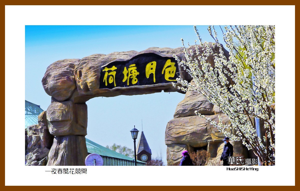 我爱家乡——一夜春风花竞开（鞍山铁西区笔管堡村荷塘月色度假村）