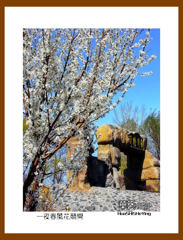 我爱家乡——一夜春风花竞开（鞍山铁西区笔管堡村荷塘月色度假村）