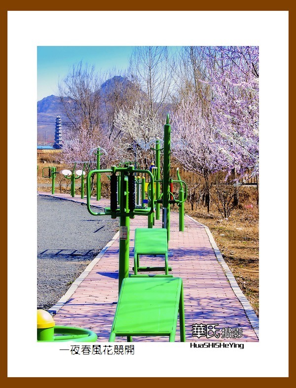 我爱家乡——一夜春风花竞开（鞍山铁西区笔管堡村荷塘月色度假村）