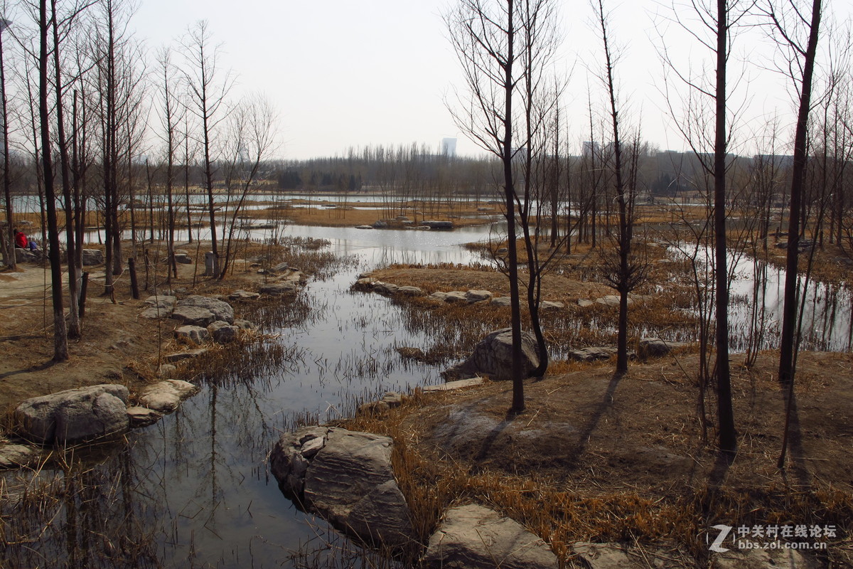 奥林匹克森林公园