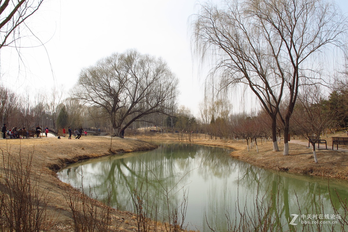 奥林匹克森林公园