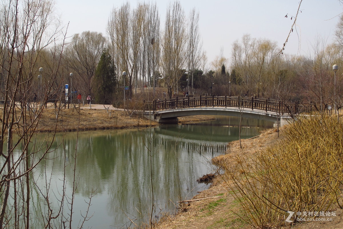 奥林匹克森林公园