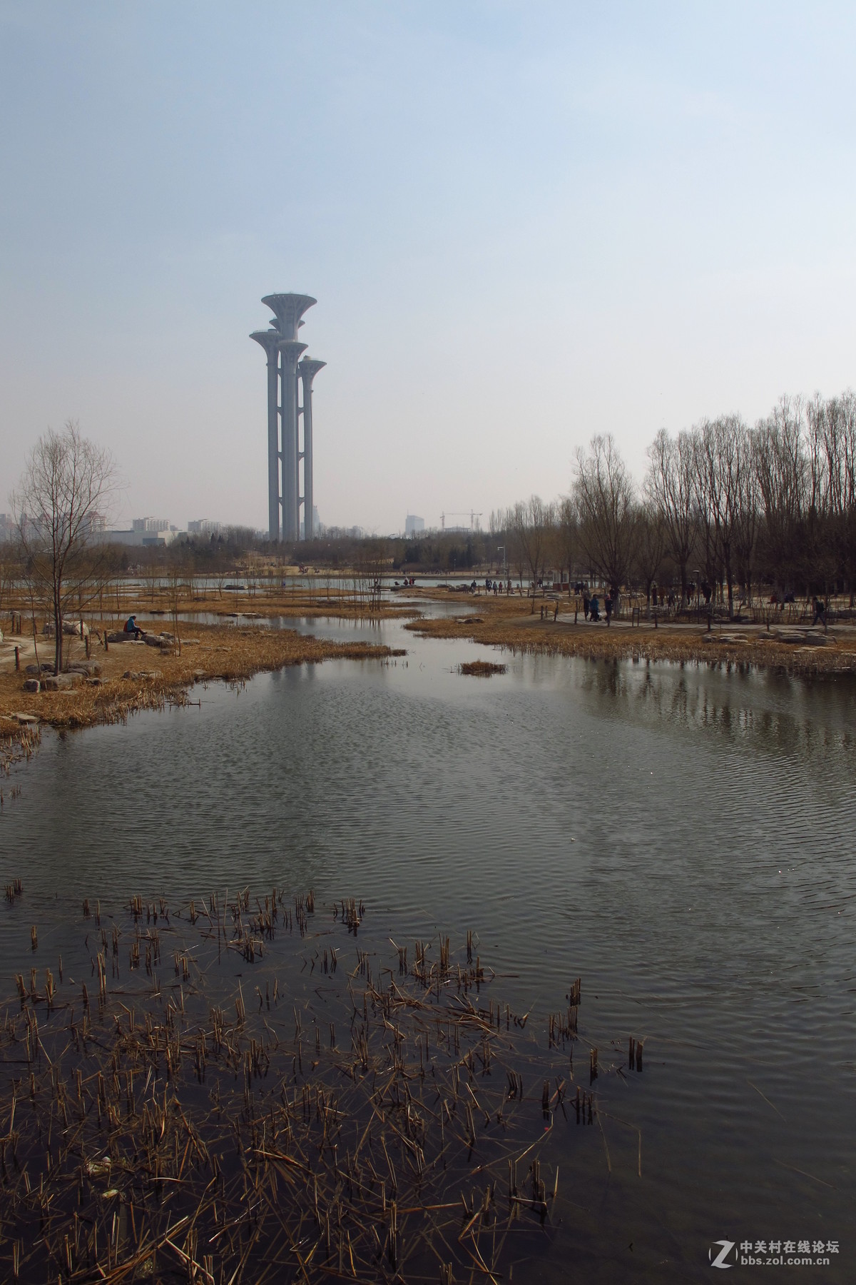 奥林匹克森林公园